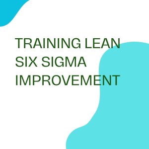 TRAINING LEAN SIX SIGMA IMPROVEMENT pelatihan lean six sigma improvement online
