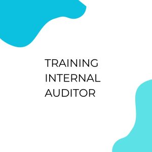 TRAINING INTERNAL AUDITOR pelatihan Internal auditor online